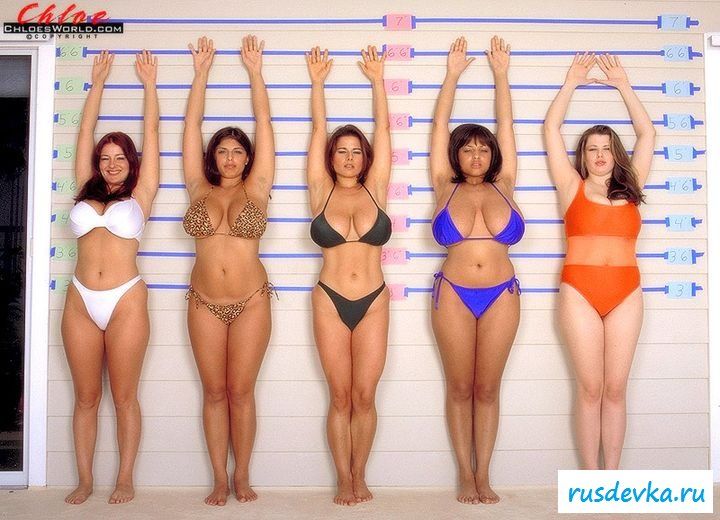 Грудастых сук задержала полиция 